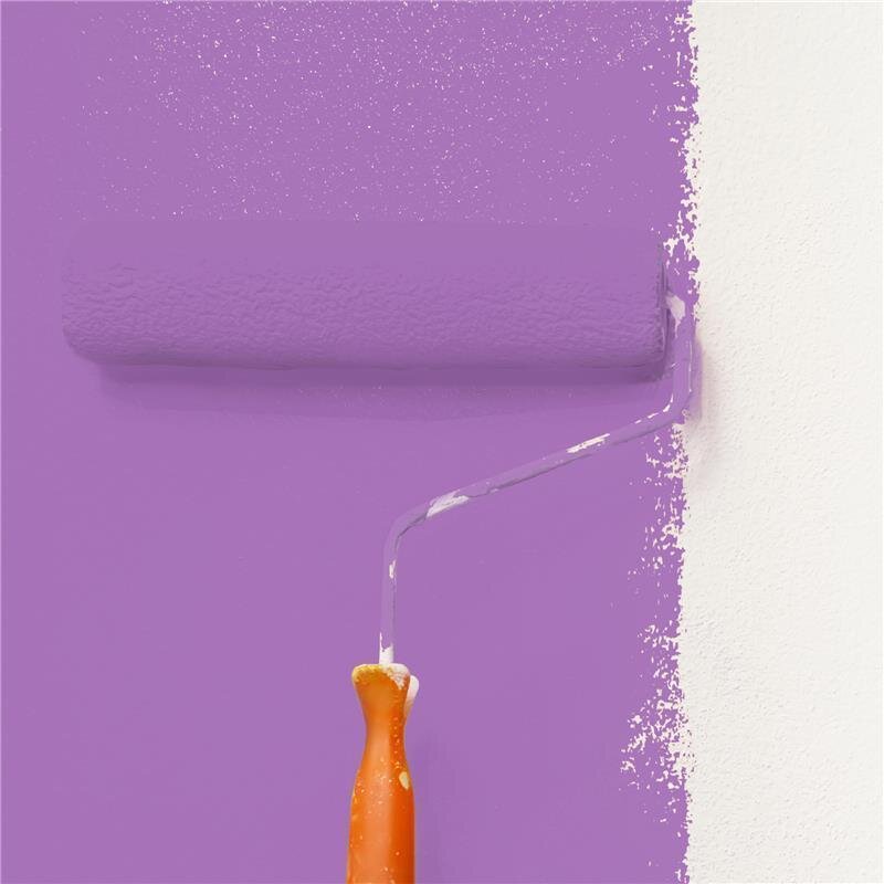 Wandfarbe Matt NCS-S-2050-R50B Profi Qualität für Innen