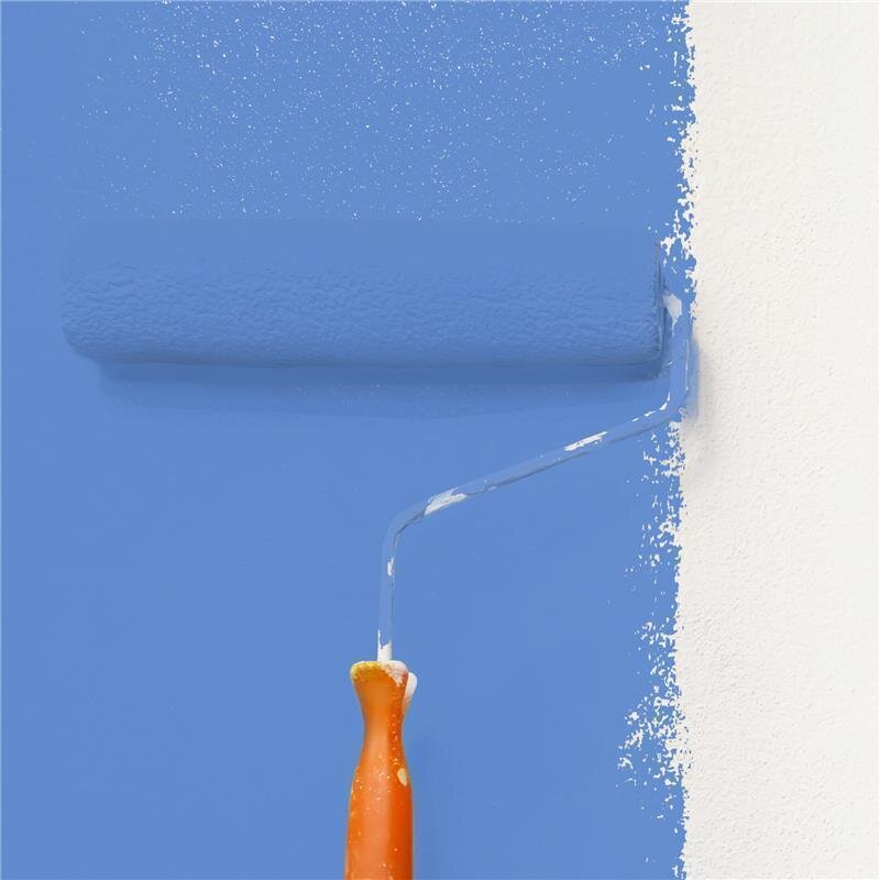 Wandfarbe Matt NCS-S-2050-R80B Profi Qualität für Innen