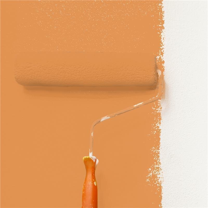 Wandfarbe Matt NCS-S-2050-Y40R Profi Qualität für Innen
