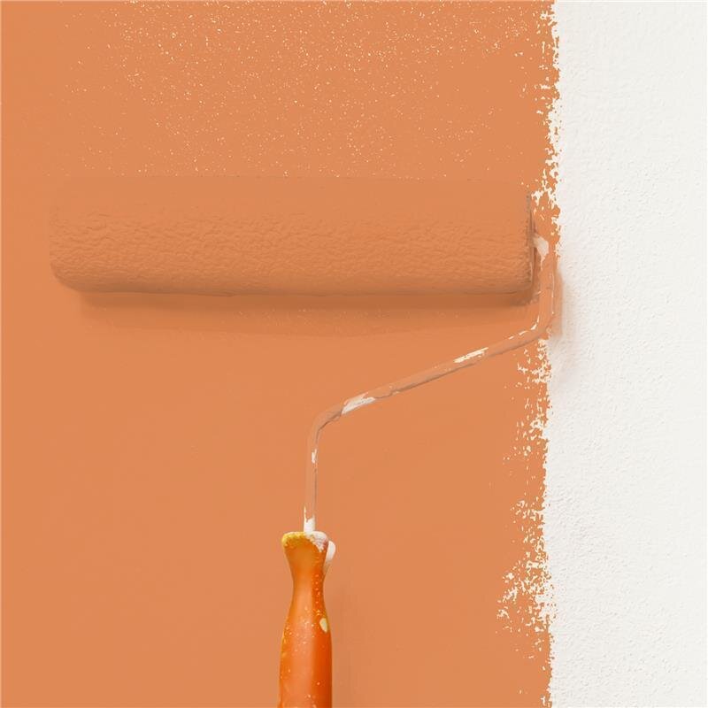 Wandfarbe Matt NCS-S-2050-Y50R Profi Qualität für Innen