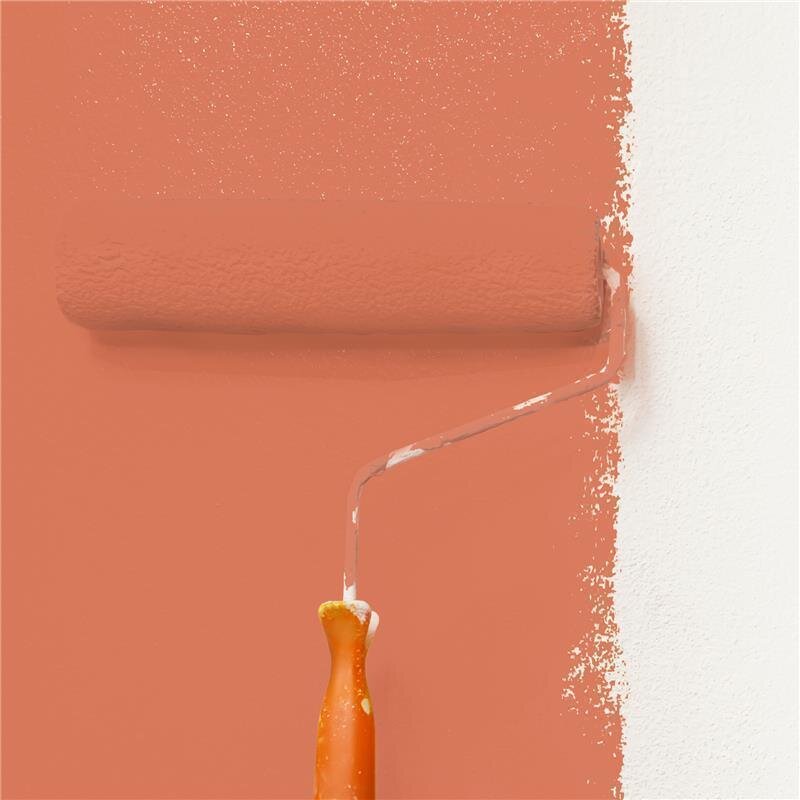 Wandfarbe Matt NCS-S-2050-Y70R Profi Qualität für Innen