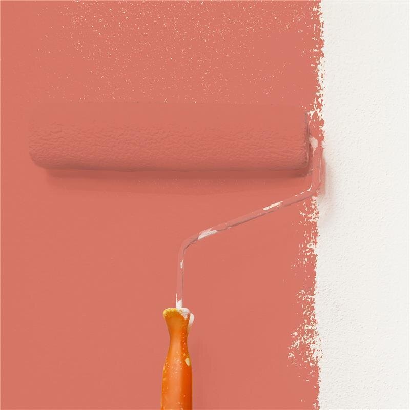 Wandfarbe Matt NCS-S-2050-Y80R Profi Qualität für Innen