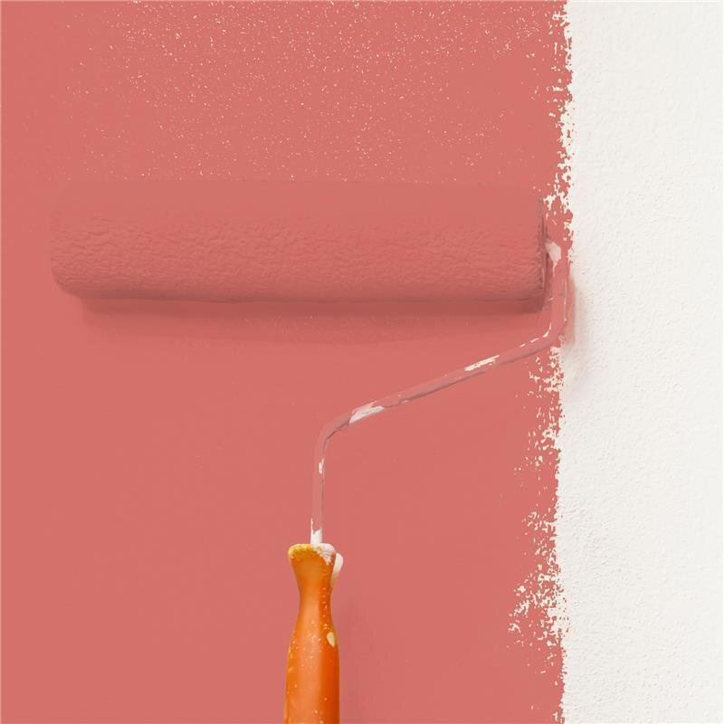 Wandfarbe Matt NCS-S-2050-Y90R Profi Qualität für Innen
