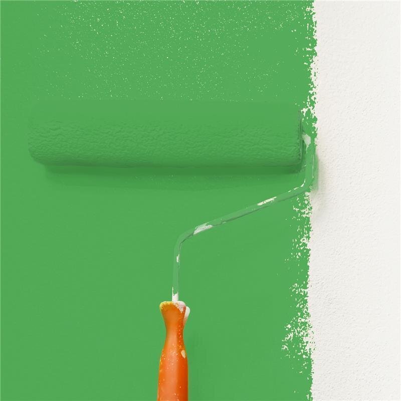 Wandfarbe Matt NCS-S-2060-G20Y Profi Qualität für Innen