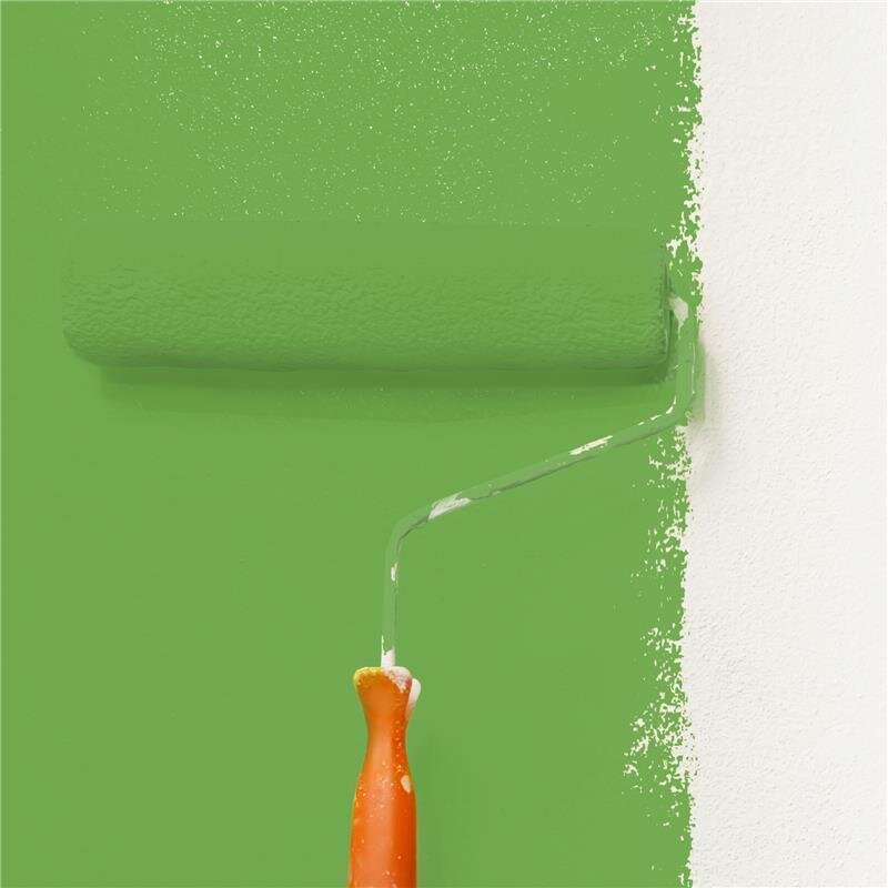 Wandfarbe Matt NCS-S-2060-G30Y Profi Qualität für Innen