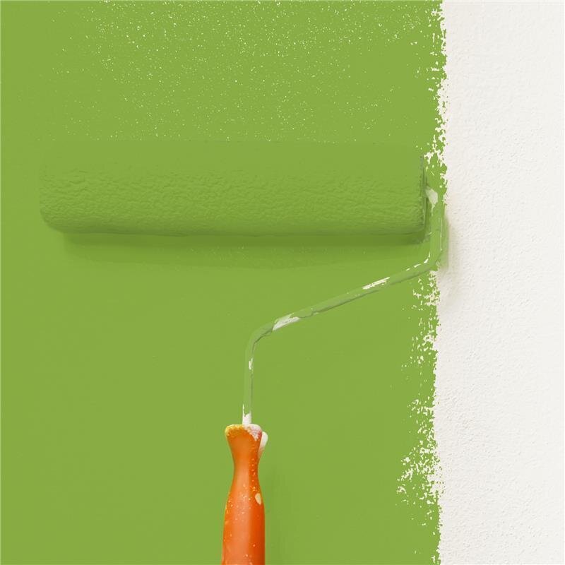 Wandfarbe Matt NCS-S-2060-G40Y Profi Qualität für Innen