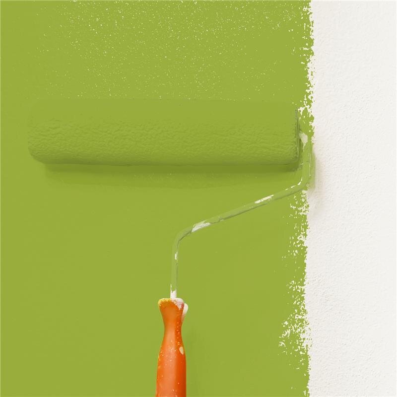 Wandfarbe Matt NCS-S-2060-G50Y Profi Qualität für Innen
