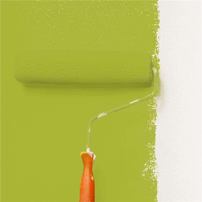 Wandfarbe Matt NCS-S-2060-G60Y Profi Qualität für Innen