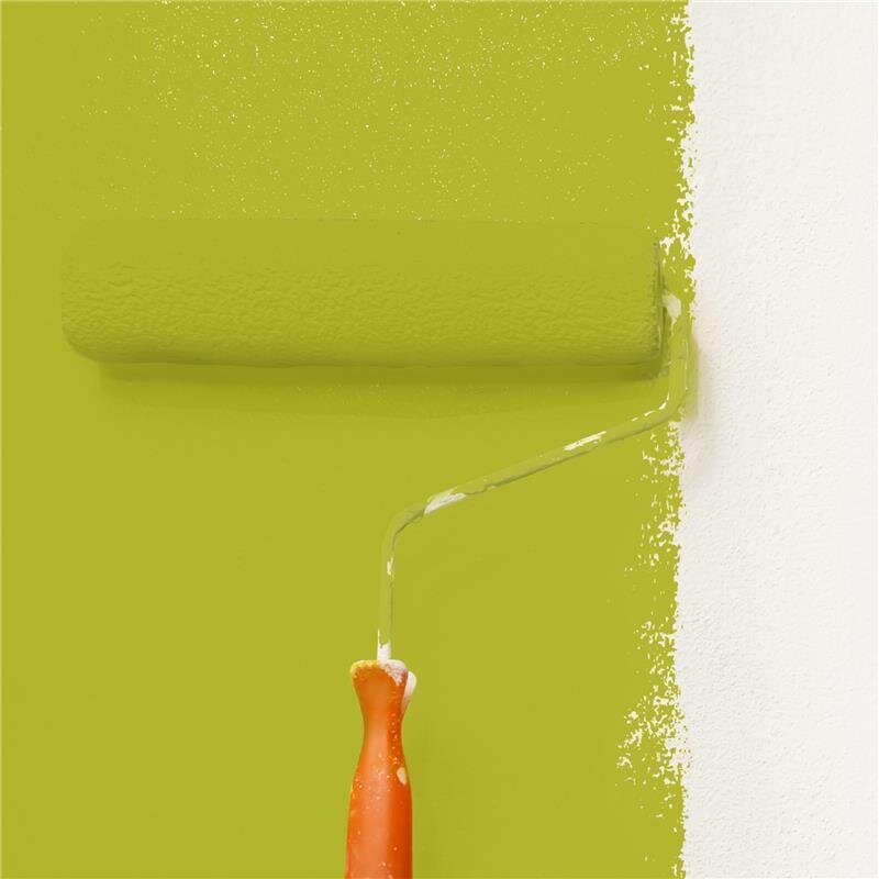 Wandfarbe Matt NCS-S-2060-G70Y Profi Qualität für Innen
