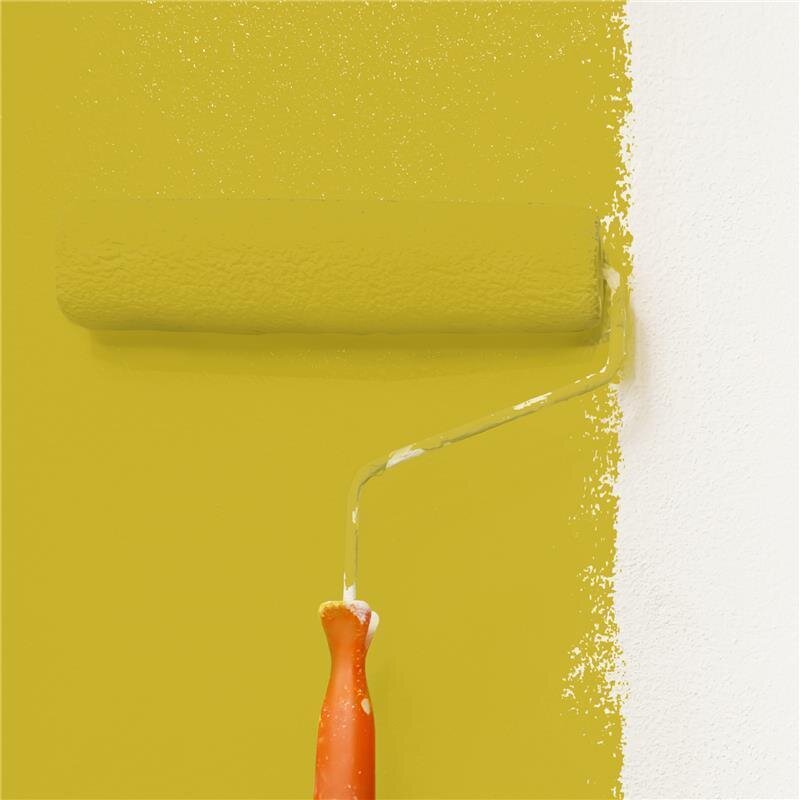 Wandfarbe Matt NCS-S-2060-G90Y Profi Qualität für Innen