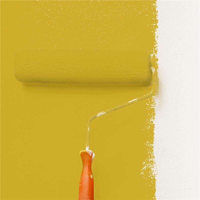 Wandfarbe Matt NCS-S-2060-Y Profi Qualität für Innen