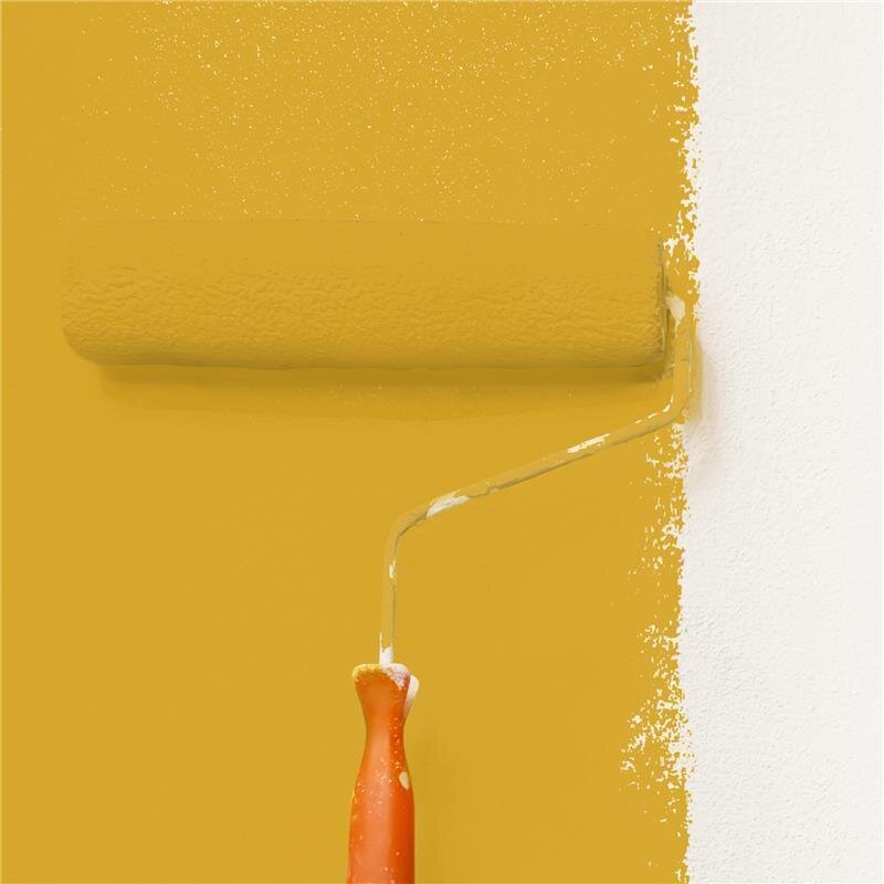 Wandfarbe Matt NCS-S-2060-Y10R Profi Qualität für Innen