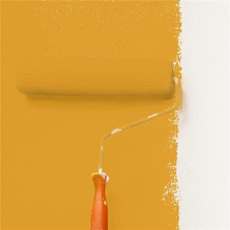 Wandfarbe Matt NCS-S-2060-Y20R Profi Qualität für Innen