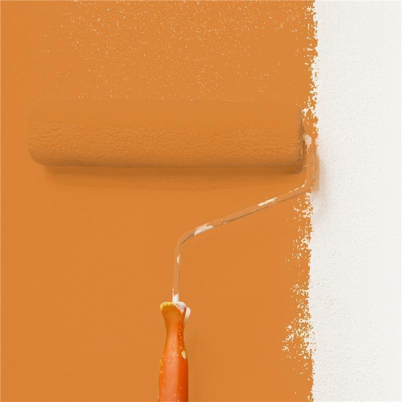 Wandfarbe Matt NCS-S-2060-Y40R Profi Qualität für Innen