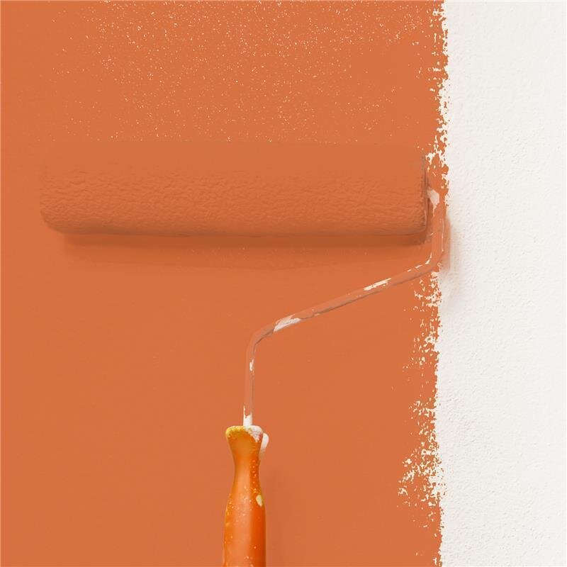 Wandfarbe Matt NCS-S-2060-Y60R Profi Qualität für Innen