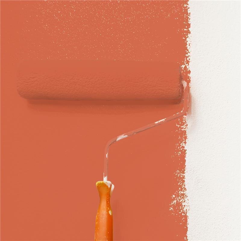 Wandfarbe Matt NCS-S-2060-Y70R Profi Qualität für Innen
