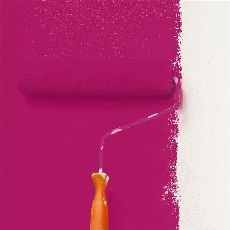 Wandfarbe Matt NCS-S-2065-R20B Profi Qualität für Innen