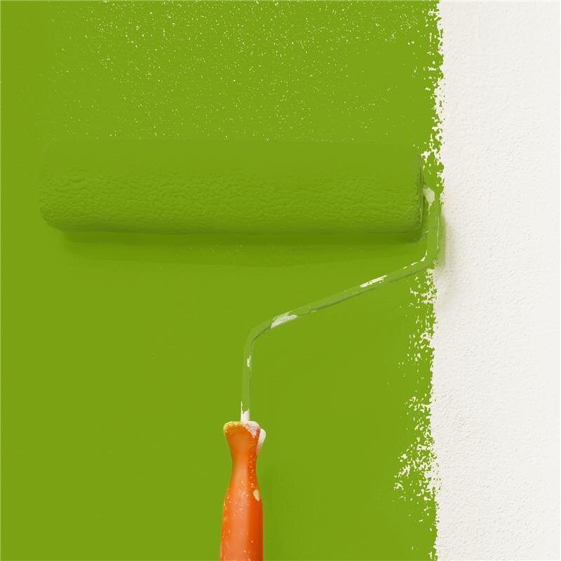 Wandfarbe Matt NCS-S-2070-G40Y Profi Qualität für Innen