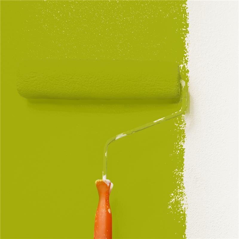 Wandfarbe Matt NCS-S-2070-G60Y Profi Qualität für Innen