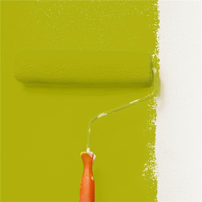 Wandfarbe Matt NCS-S-2070-G70Y Profi Qualität für Innen