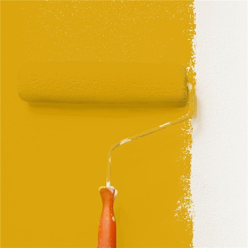 Wandfarbe Matt NCS-S-2070-Y10R Profi Qualität für Innen