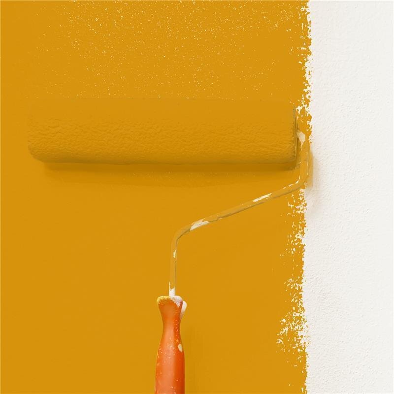 Wandfarbe Matt NCS-S-2070-Y20R Profi Qualität für Innen