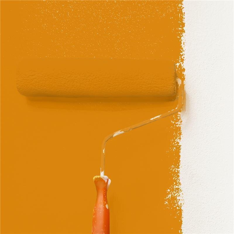 Wandfarbe Matt NCS-S-2070-Y30R Profi Qualität für Innen