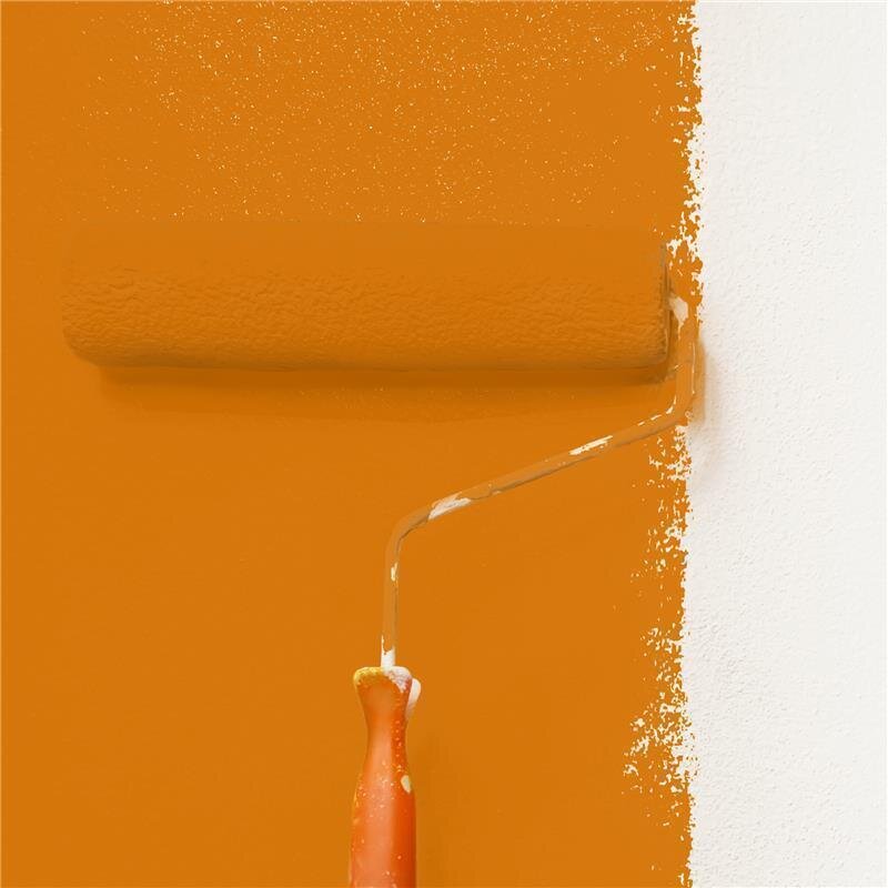 Wandfarbe Matt NCS-S-2070-Y40R Profi Qualität für Innen