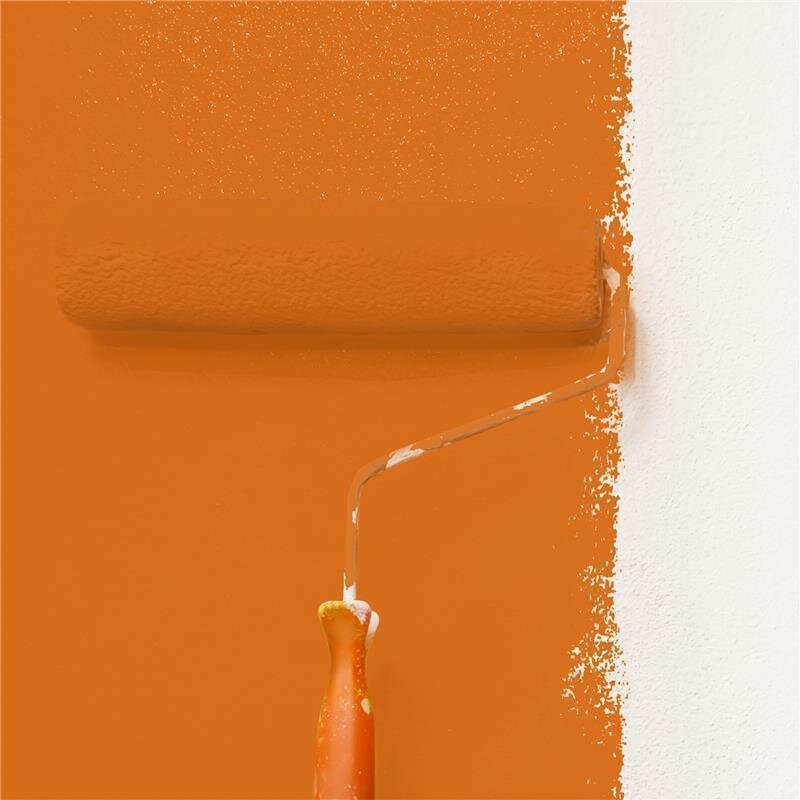 Wandfarbe Matt NCS-S-2070-Y50R Profi Qualität für Innen