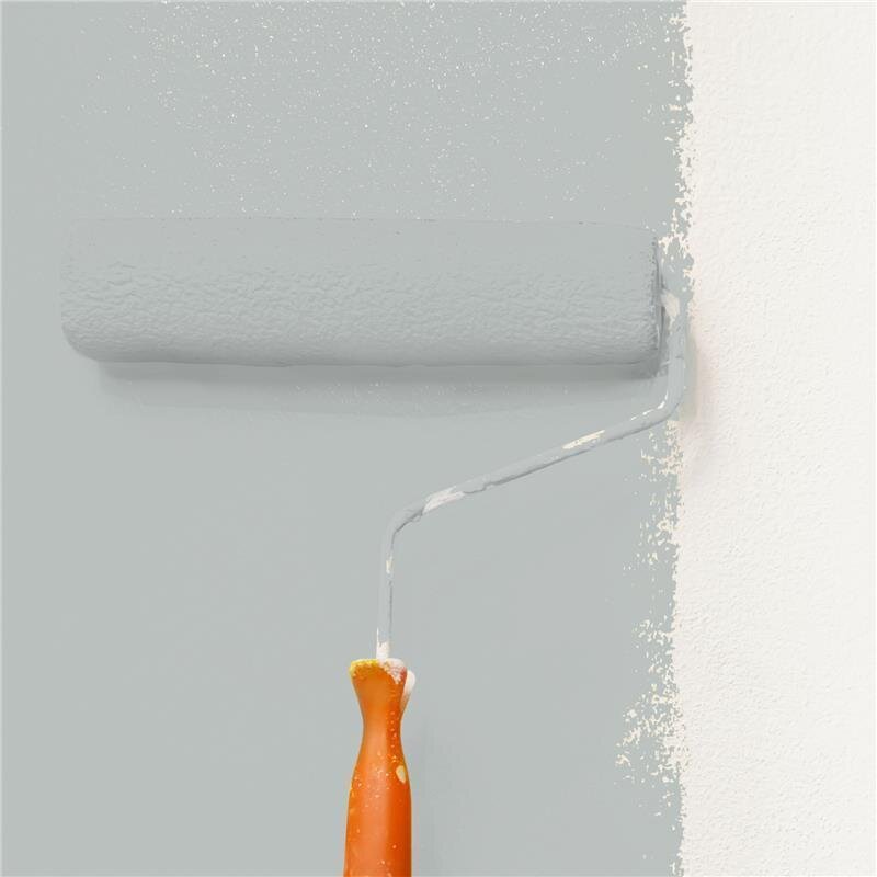 Wandfarbe Matt NCS-S-2502-G Profi Qualität für Innen