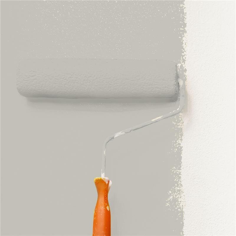 Wandfarbe Matt NCS-S-2502-Y Profi Qualität für Innen