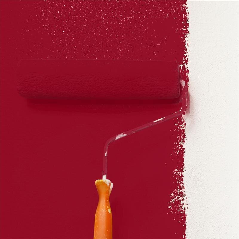 Wandfarbe Matt NCS-S-2570-R Profi Qualität für Innen