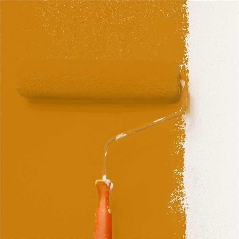 Wandfarbe Matt NCS-S-2570-Y30R Profi Qualität für Innen