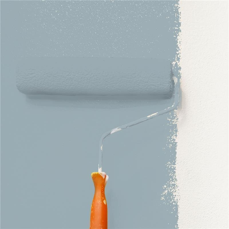 Wandfarbe Matt NCS-S-3010-B10G Profi Qualität für Innen