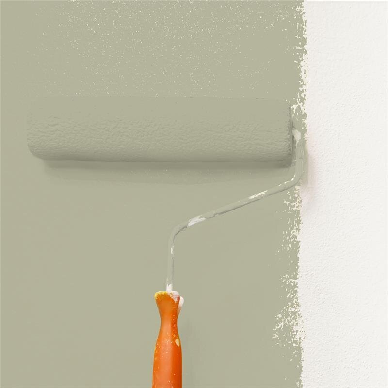 Wandfarbe Matt NCS-S-3010-G80Y Profi Qualität für Innen