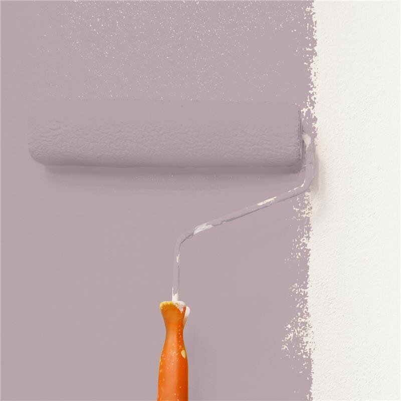 Wandfarbe Matt NCS-S-3010-R20B Profi Qualität für Innen