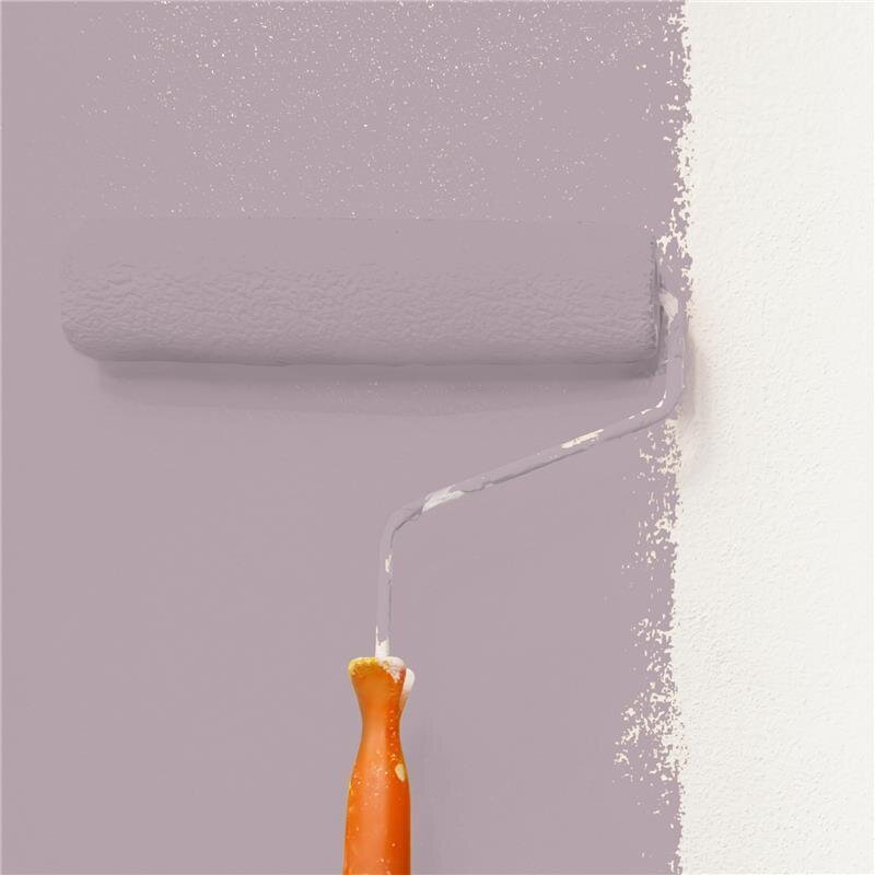 Wandfarbe Matt NCS-S-3010-R30B Profi Qualität für Innen