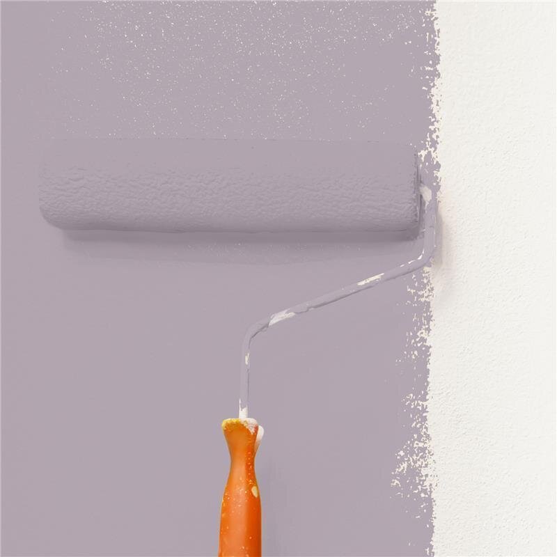 Wandfarbe Matt NCS-S-3010-R40B Profi Qualität für Innen