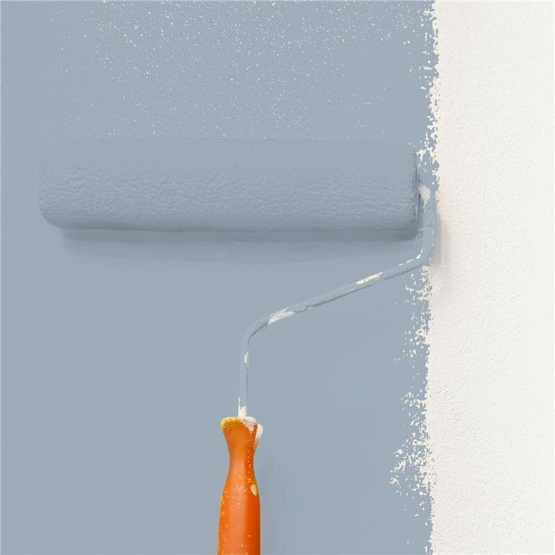 Wandfarbe Matt NCS-S-3010-R90B Profi Qualität für Innen