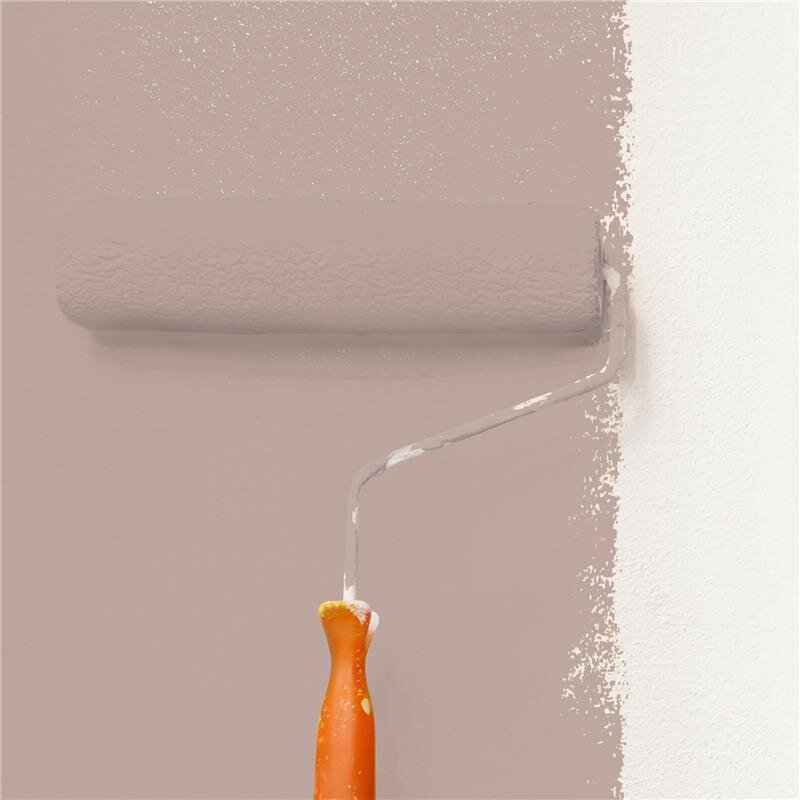 Wandfarbe Matt NCS-S-3010-Y80R Profi Qualität für Innen