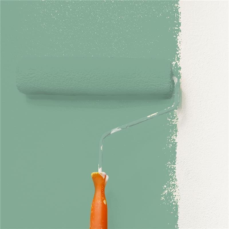 Wandfarbe Matt NCS-S-3020-G Profi Qualität für Innen