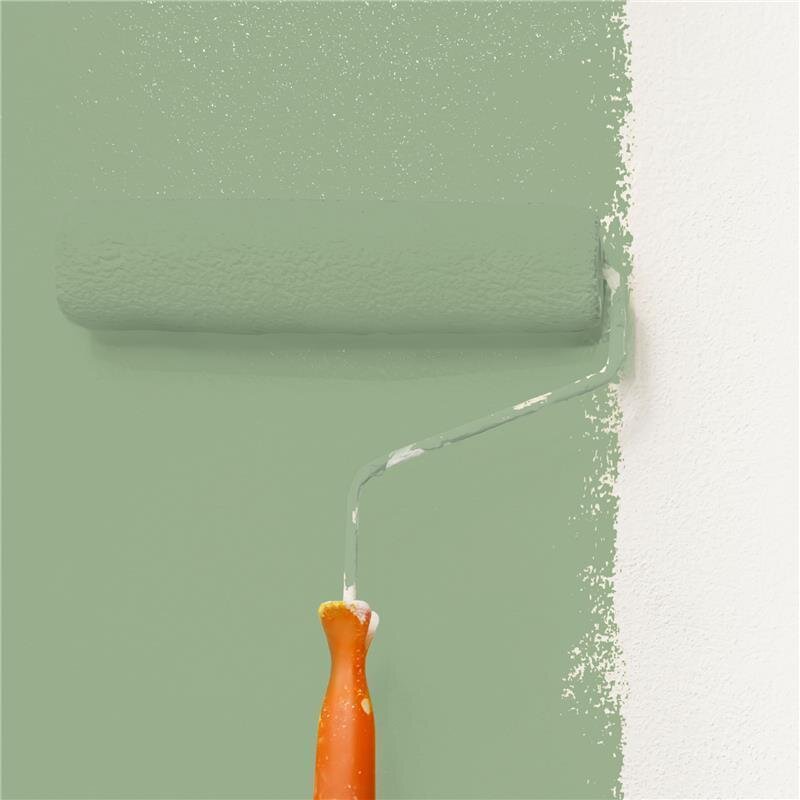 Wandfarbe Matt NCS-S-3020-G30Y Profi Qualität für Innen