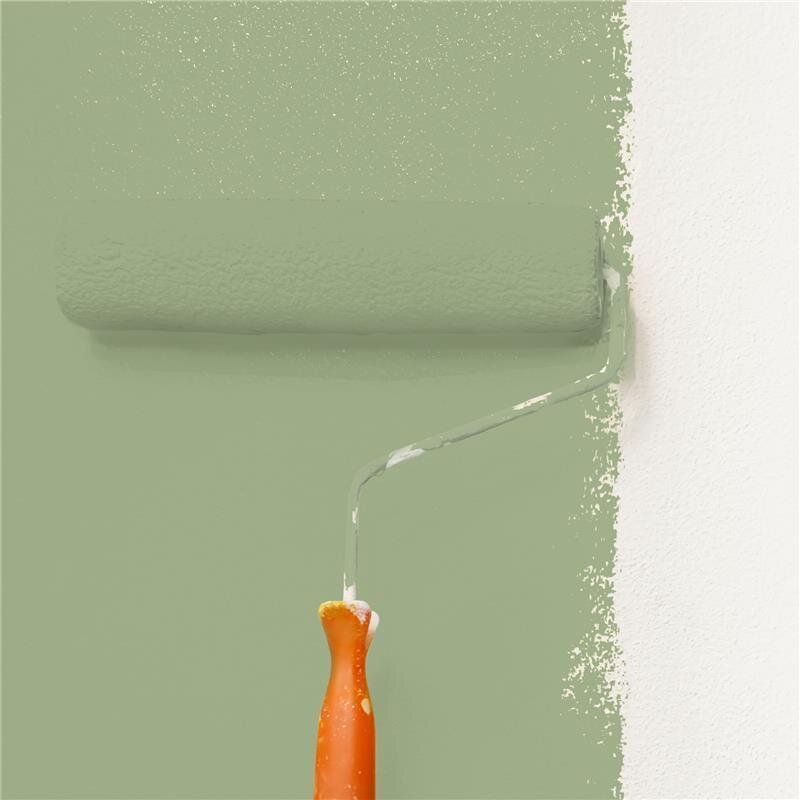 Wandfarbe Matt NCS-S-3020-G40Y Profi Qualität für Innen