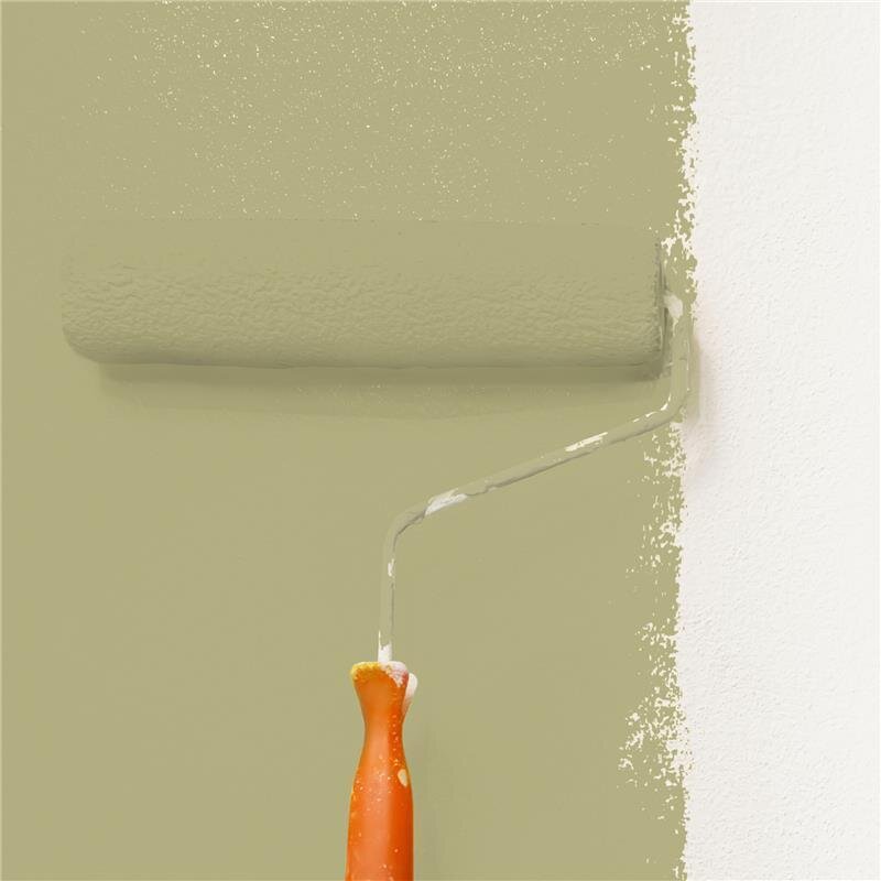 Wandfarbe Matt NCS-S-3020-G80Y Profi Qualität für Innen