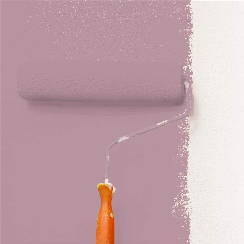 Wandfarbe Matt NCS-S-3020-R20B Profi Qualität für Innen