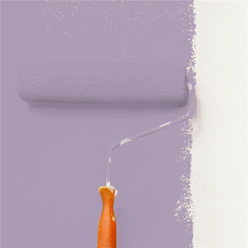 Wandfarbe Matt NCS-S-3020-R50B Profi Qualität für Innen