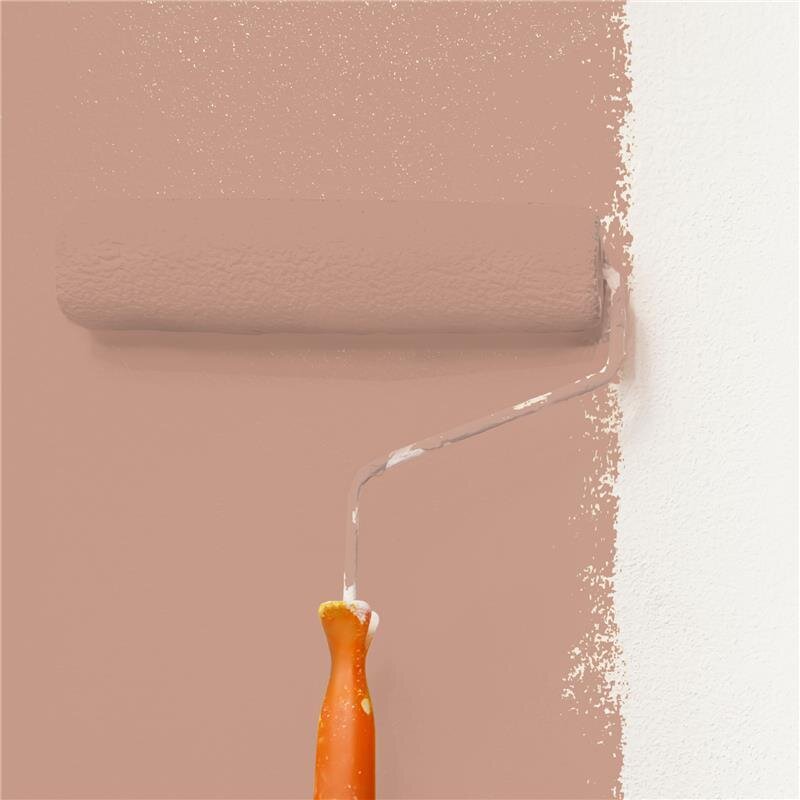 Wandfarbe Matt NCS-S-3020-Y70R Profi Qualität für Innen