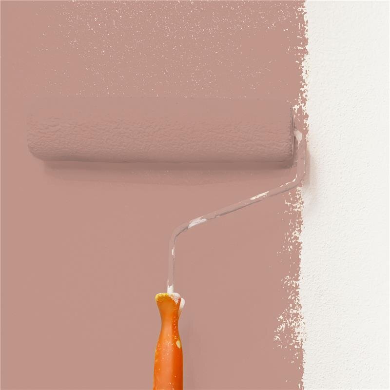 Wandfarbe Matt NCS-S-3020-Y80R Profi Qualität für Innen