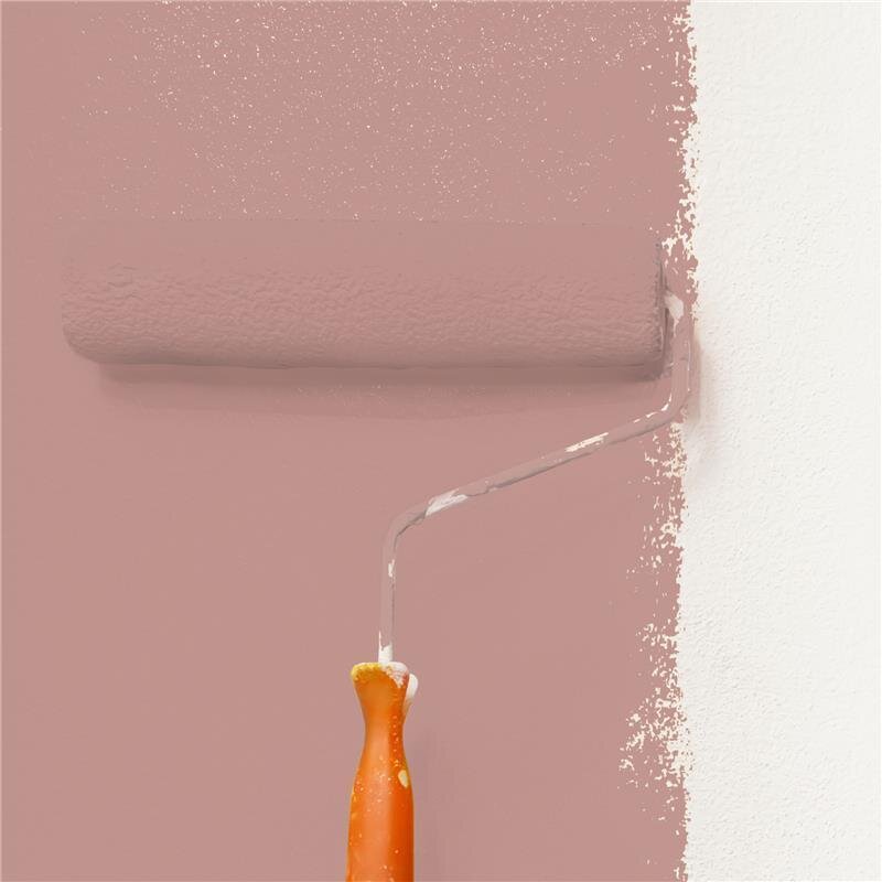 Wandfarbe Matt NCS-S-3020-Y90R Profi Qualität für Innen