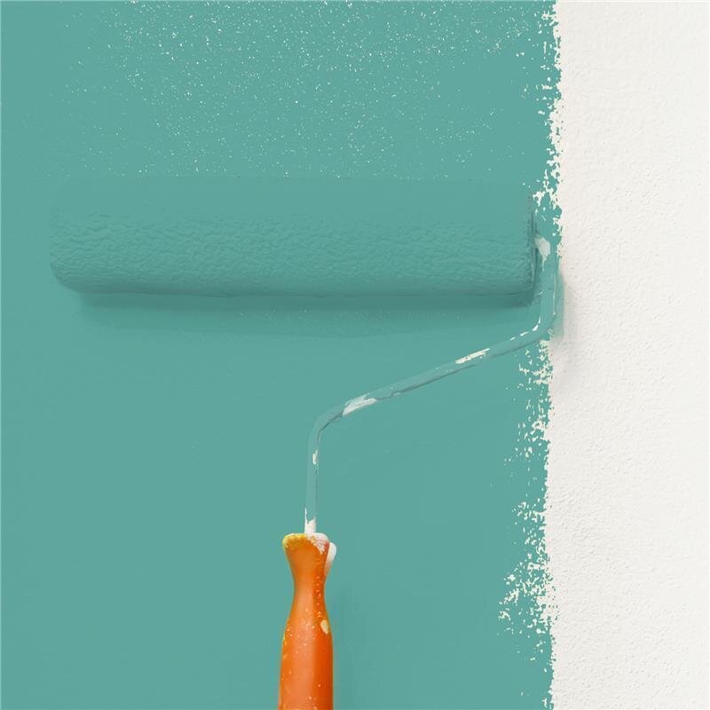 Wandfarbe Matt NCS-S-3030-B70G Profi Qualität für Innen